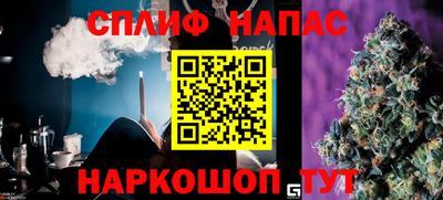индика Заволжье