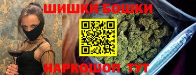 индика Заволжье