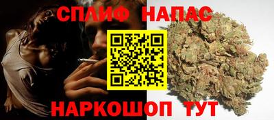 индика Заволжье
