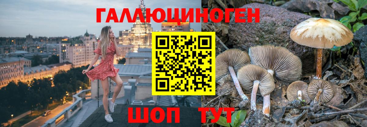 Можга  Галлюциногенные грибы Magic Shrooms  Вход с VPN  Псилоцибиновые грибы Cubensis 