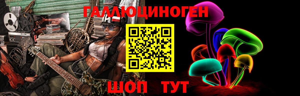 Псилоцибиновые грибы Psilocybe Можга